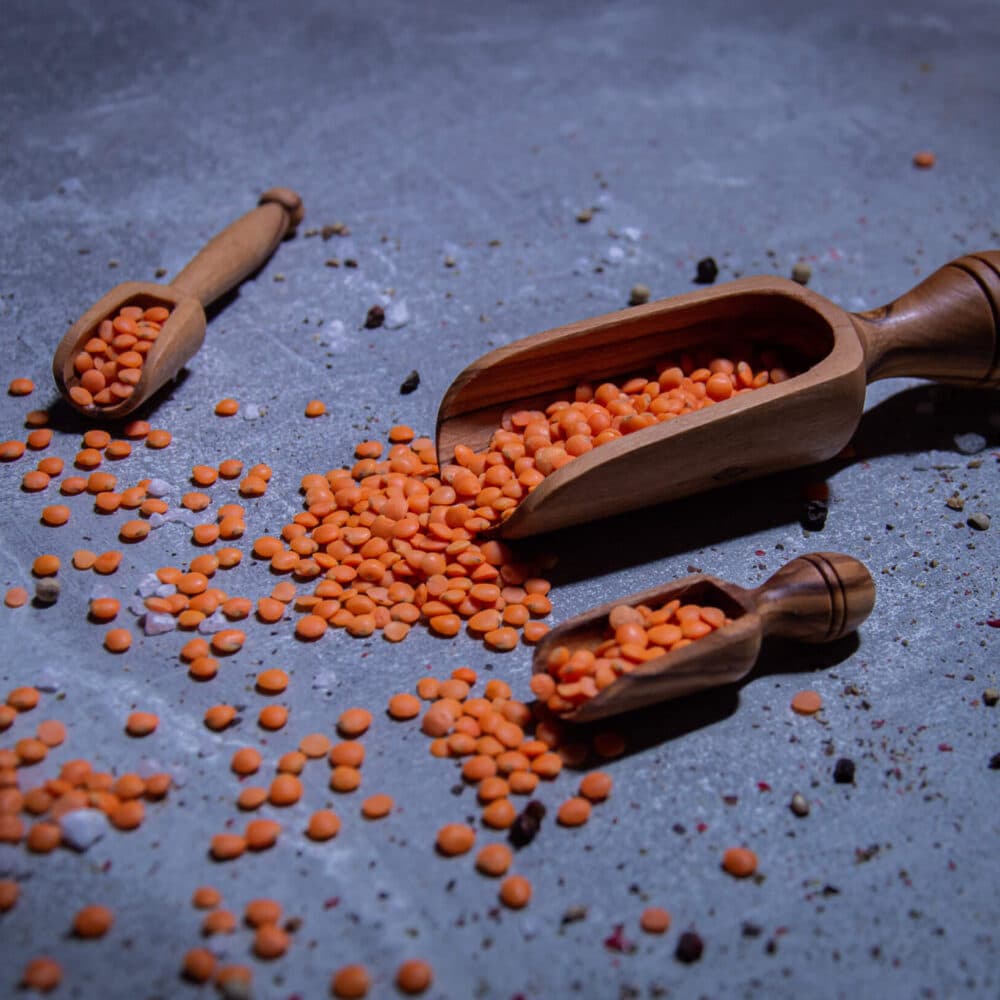 gewuerzschaufel-olivenholz